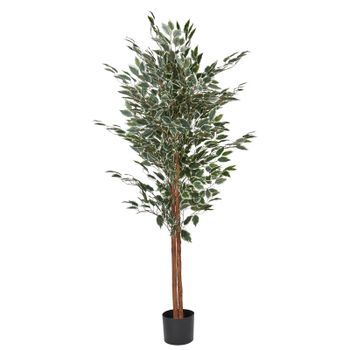 Planta Artificial En Maceta Para Interior Decoración De Plástico Maceta Negra 167 Cm Ficus Tree