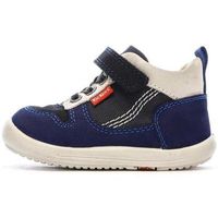 kickers zapatillas bottillon para nino