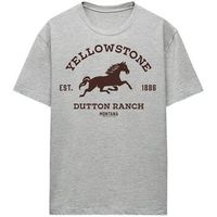 yellowstone camiseta dutton ranch para mujer