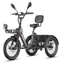 eu direct fafrees f20 mate ii triciclo electrico de carga bateria de 48v 21ah motor de 250w potencia pico de 750w
