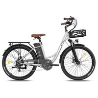 bicicleta electrica fafrees f26 lasting - motor 250w bateria 36v203ah autonomia 160km - gris