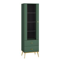 vitrina 1 puerta 2 cajones melamina verde