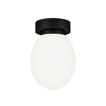 Aplique de baño ip44 en metal negro y cristal opal ovalado