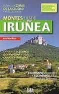 montes desde irunea