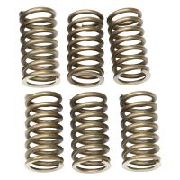 muelle embrague ducati 38mm kit inox