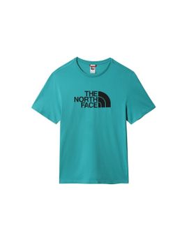 Camiseta The North Face Easy Green