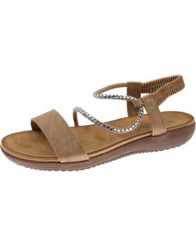 de BEPPI 2200261 CAMEL