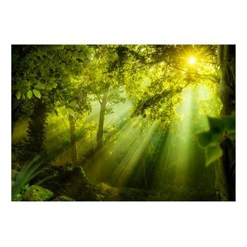 Papel Pintado 3d - In A Secret Forest (300x210 Cm)