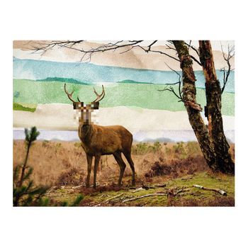 Papel Pintado 3d - Un Fugitivo Del Bosque (300x231 Cm)