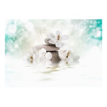 Papel Pintado 3d - Heavenly Peace (350x245 Cm)