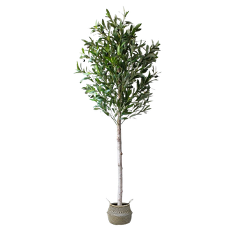 Selvavita Árbol Artificial Olivo 155 Cm Tronco Natural Realista