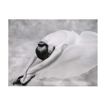 Papel Pintado 3d - Fotografía: Bailarina De Ballet (200x154 Cm)