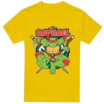 Teenage Mutant Ninja Turtles Camiseta Cool But Crude para hombre