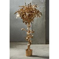 planta ficus benjamin oro 135 cms 78x135 cms