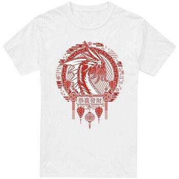 Dungeons & Dragons Camiseta Year Of The Dragon Beast In The Clouds para hombre