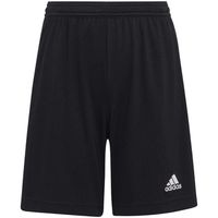 adidas short nino entrada 22 para nino