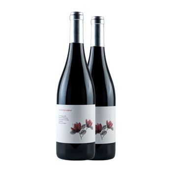 Valdemonjas Vino Tinto Entre Palabras Ribera 75 Cl 14% Vol. (pack De 2 Unidades)