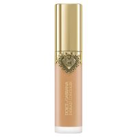 everlast concealer 20 medium