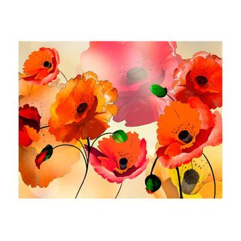 Papel Pintado 3d - Amapolas Suaves (300x231 Cm)