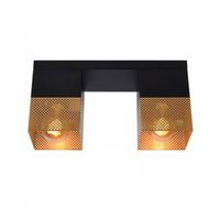 plafon de techo renate 2 luces