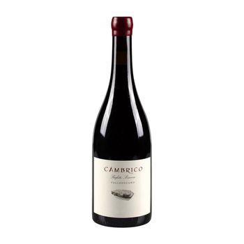 Cámbrico Vino Tinto Pizarra Vino 75 Cl 14% Vol.