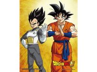 poster 3d - sherwood dragon ball goku  vegeta enmarcado licencia oficial