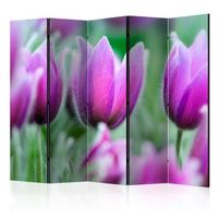biombo - purple spring tulips ii  225x172 cm