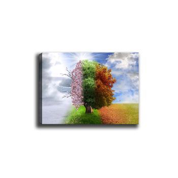 Pintura Decorativa Lienzo Canvas Tablo-105 Multicolor 70x100 Cm