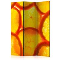 biombo - orange slices 135x172 cm