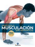 anatomia  musculacion sin aparatos