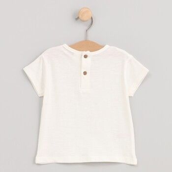 cotton fish Camiseta 90716-CHILD para niño