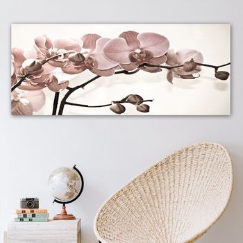 Pintura Decorativa Lienzo Yty400029_50120 Multicolor 50x120