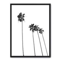 cuadro palm tree line up ii