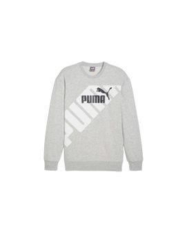 Sudadera Puma POWER Graphic C Light Gris Hombre