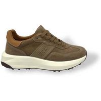 cesare paciotti deportivas moda - para hombre