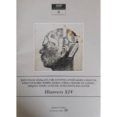 illanvers xiv