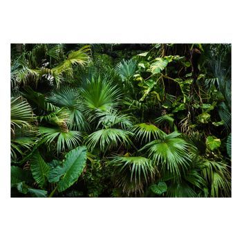 Papel Pintado 3d - Sunny Jungle (300x210 Cm)