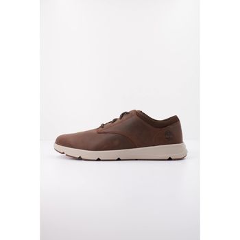 Timberland Zapatos Hombre Pkst Low Lace Sneaker Dkbrn para hombre