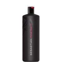 sebastian professional penetraitt shampoo 1000ml worth 5600