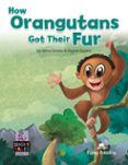 how orangutans got their fur short tales