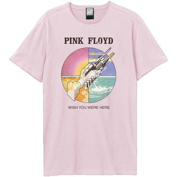 Amplified Clothing Tops y Camisetas Wish You Were Here para hombre