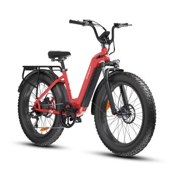 [EU DIRECT] Bici eléctrica Bodywel D9 48V 15Ah 250W (potencia pico 750W) motor BAFANG Velocidad máxima recomendada 25 km