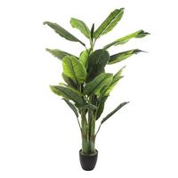 wellhome planta platano artificial elegancia sin mantenimiento