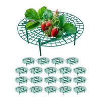 cortador para fresas 20 uds verde