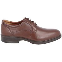 luisetti zapatos hombre 28704st para hombre