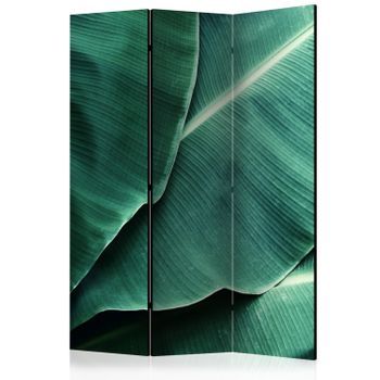 Biombo - Banana Leaf (135x172 Cm)