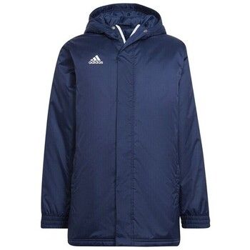 adidas Chaquetas Entrada 22 Stadium para niño