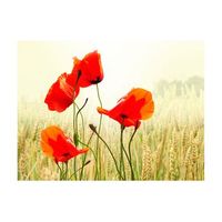 papel pintado 3d - la belleza de amapolas salvajes 250x193 cm
