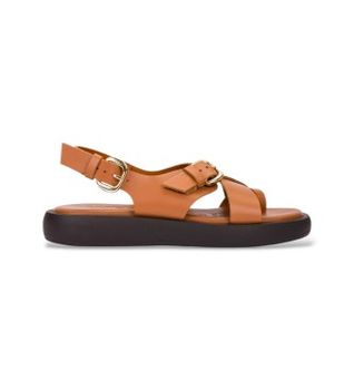 Wonders para mujer. AB-1332 Sandalias Walk marrón (38), Piel, Plano, Hebilla, Casual