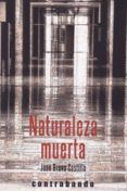 naturaleza muerta